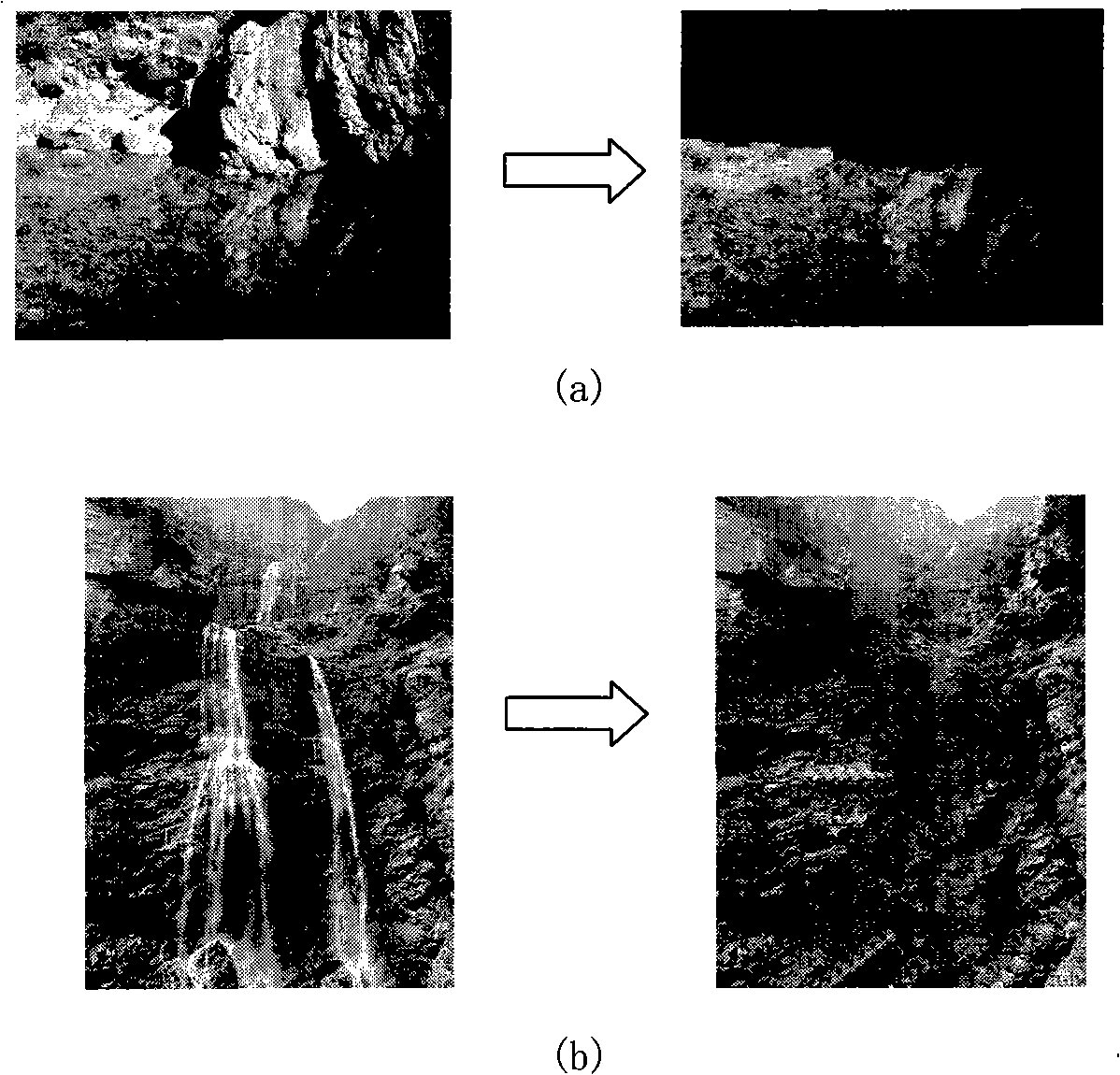 Fluid video synthetic method based on static image