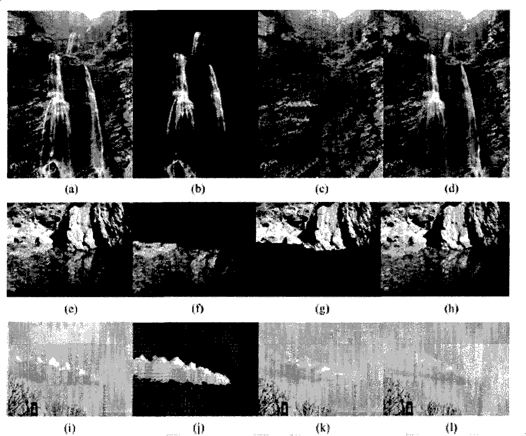 Fluid video synthetic method based on static image