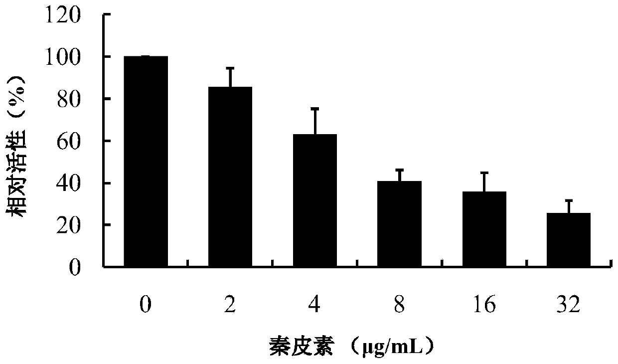 Application of fraxetin in anti streptococcus agalactiae infection of aquatic animals