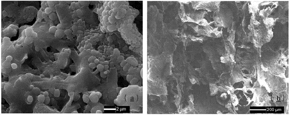 Method for preparing porous compound type high permeability absorption hemostasis coating with modified nano-crystalline cellulose