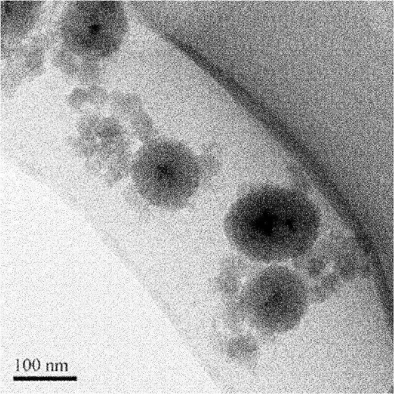 Use of silicon dioxide mesoporous material in preparation of antidote for treating heavy metal poisoning