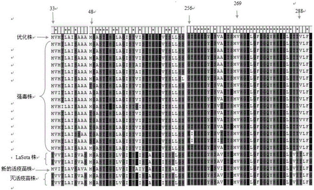 Preparation method of newcastle disease glucoprotein virus antigen and product thereof