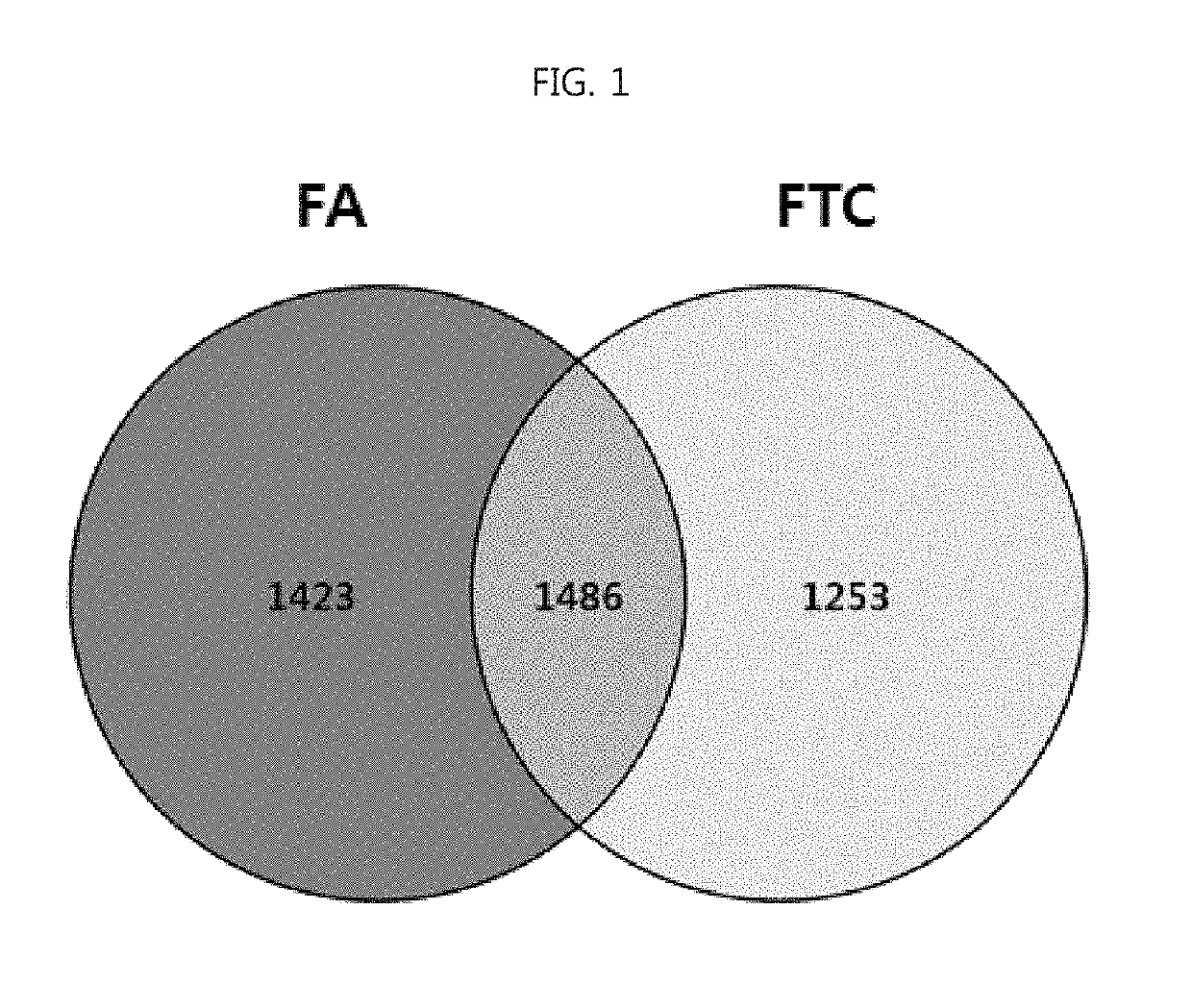 Composition for diagnosing follicular thyroid carcinoma using expression level of aminoacyl-trna synthetase-related protein and method for detecting diagnostic marker