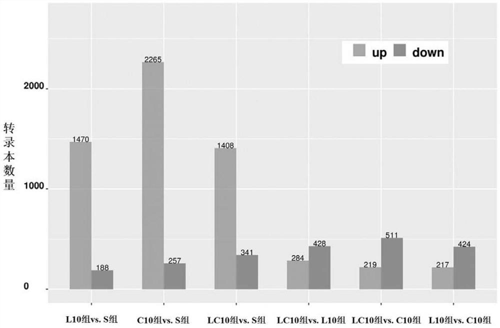 Target lncRNA: MSTRG.27033.1 for learning and memory dysfunction caused by microwave radiation