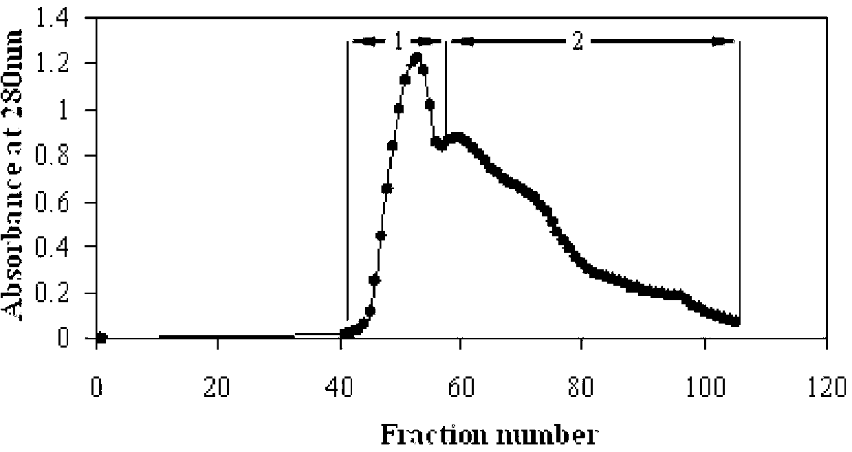 Angiotensin converting enzyme inhibitory peptide derived from bitter almond protein and preparation method thereof