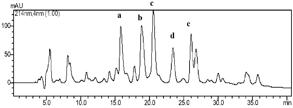 Angiotensin converting enzyme inhibitory peptide derived from bitter almond protein and preparation method thereof