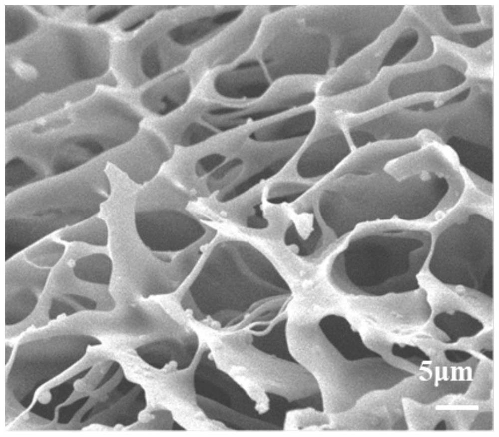 Supramolecular hydrogel as well as preparation method and application thereof