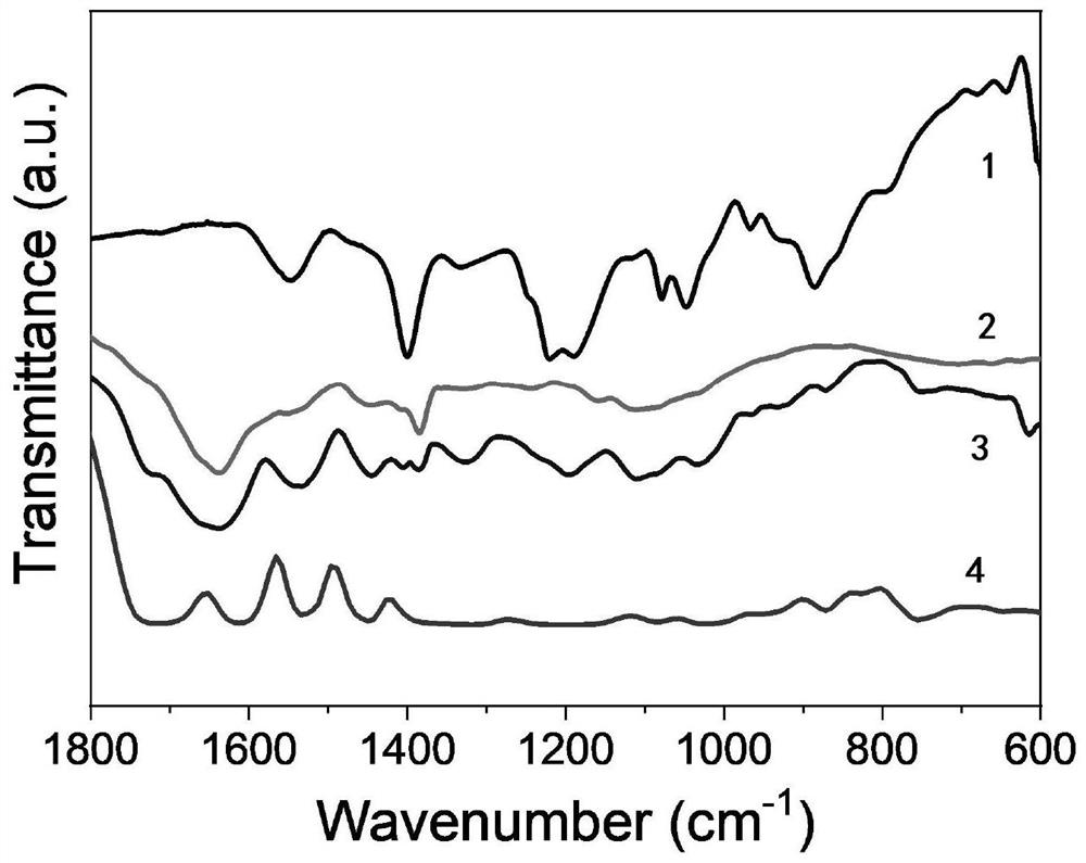 Supramolecular hydrogel as well as preparation method and application thereof