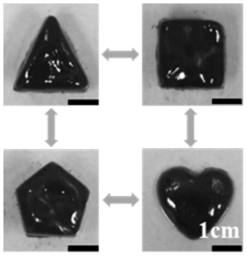 Supramolecular hydrogel as well as preparation method and application thereof