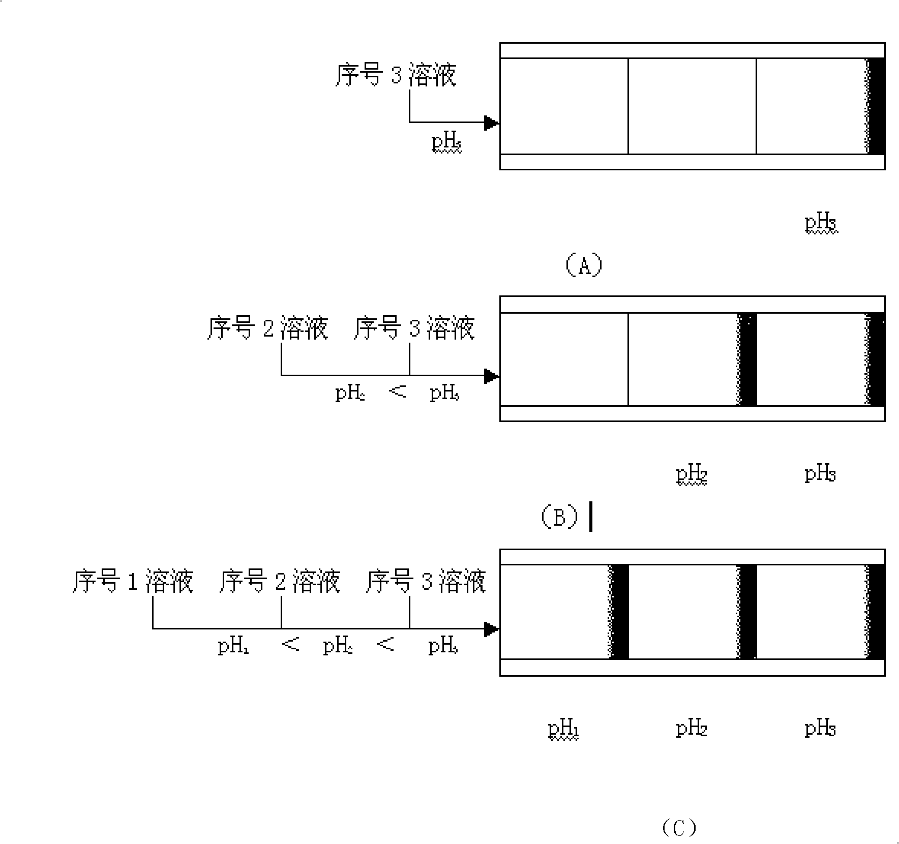 Integral immobilization pH gradient production method and application thereof