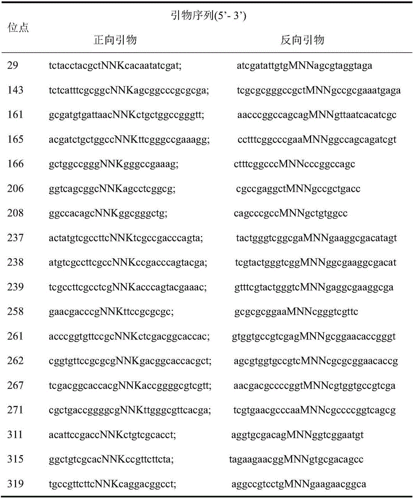 Serratia lipase mutant, recombinant expression transformant, enzyme preparation and application