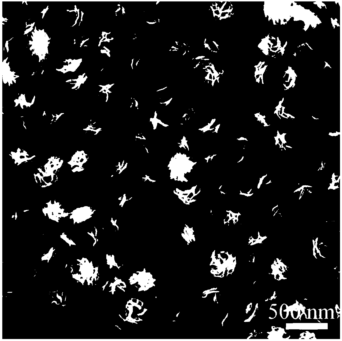 Preparation method of rose-shaped MoS2 nanoflower