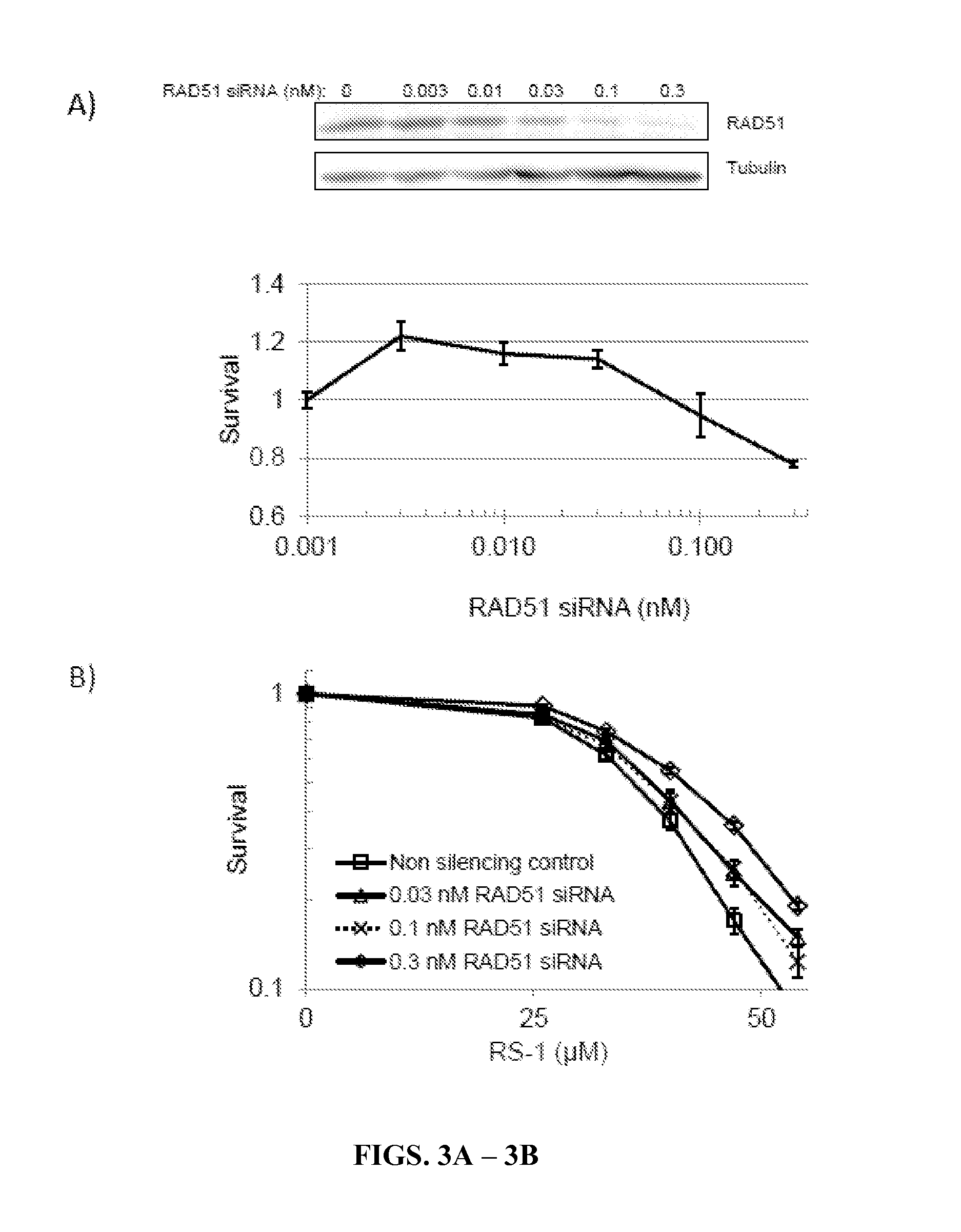 Methods of treating cancer using rad51 small molecule stimulators