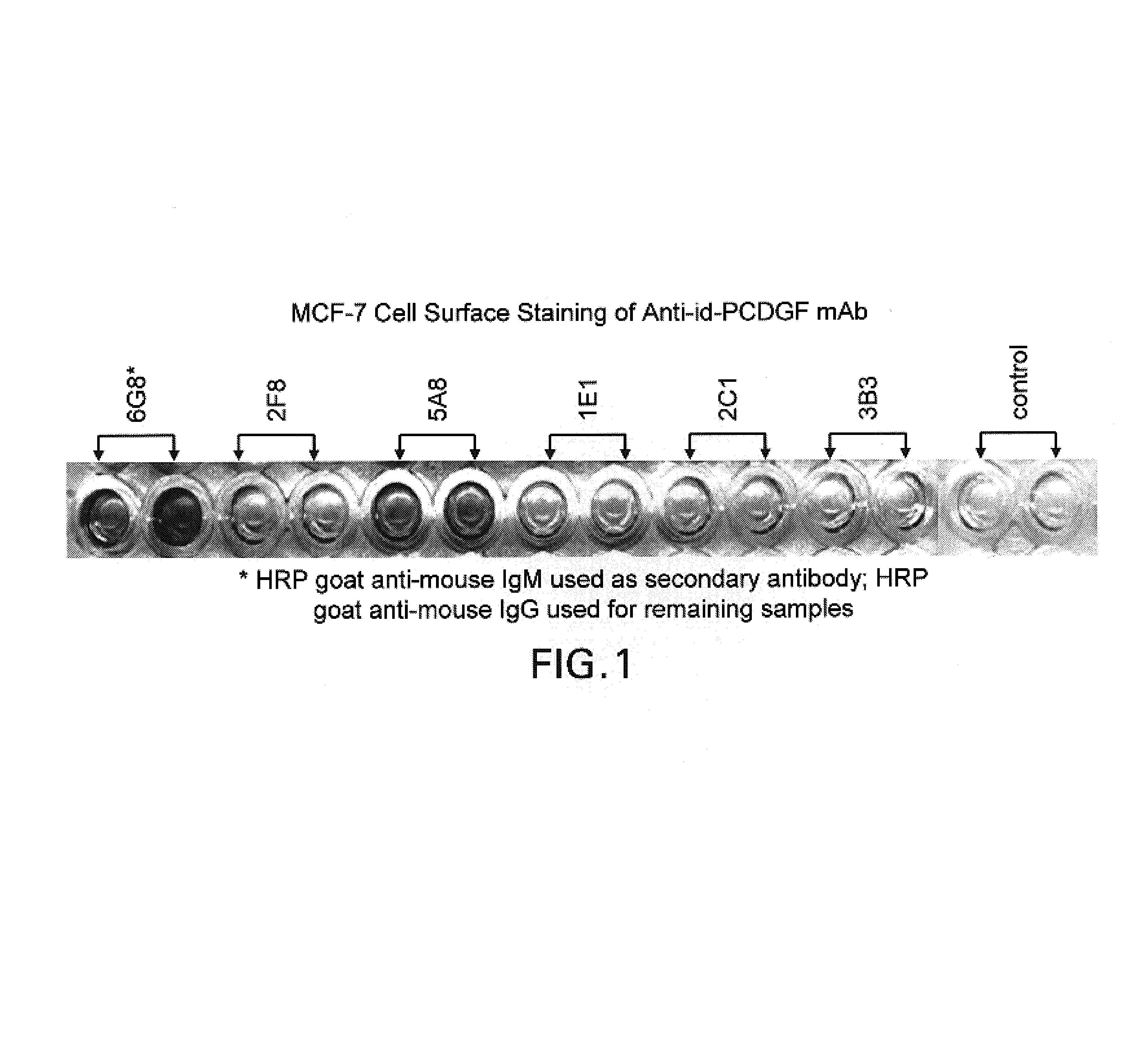 Autocrine growth factor receptor antibodies and methods