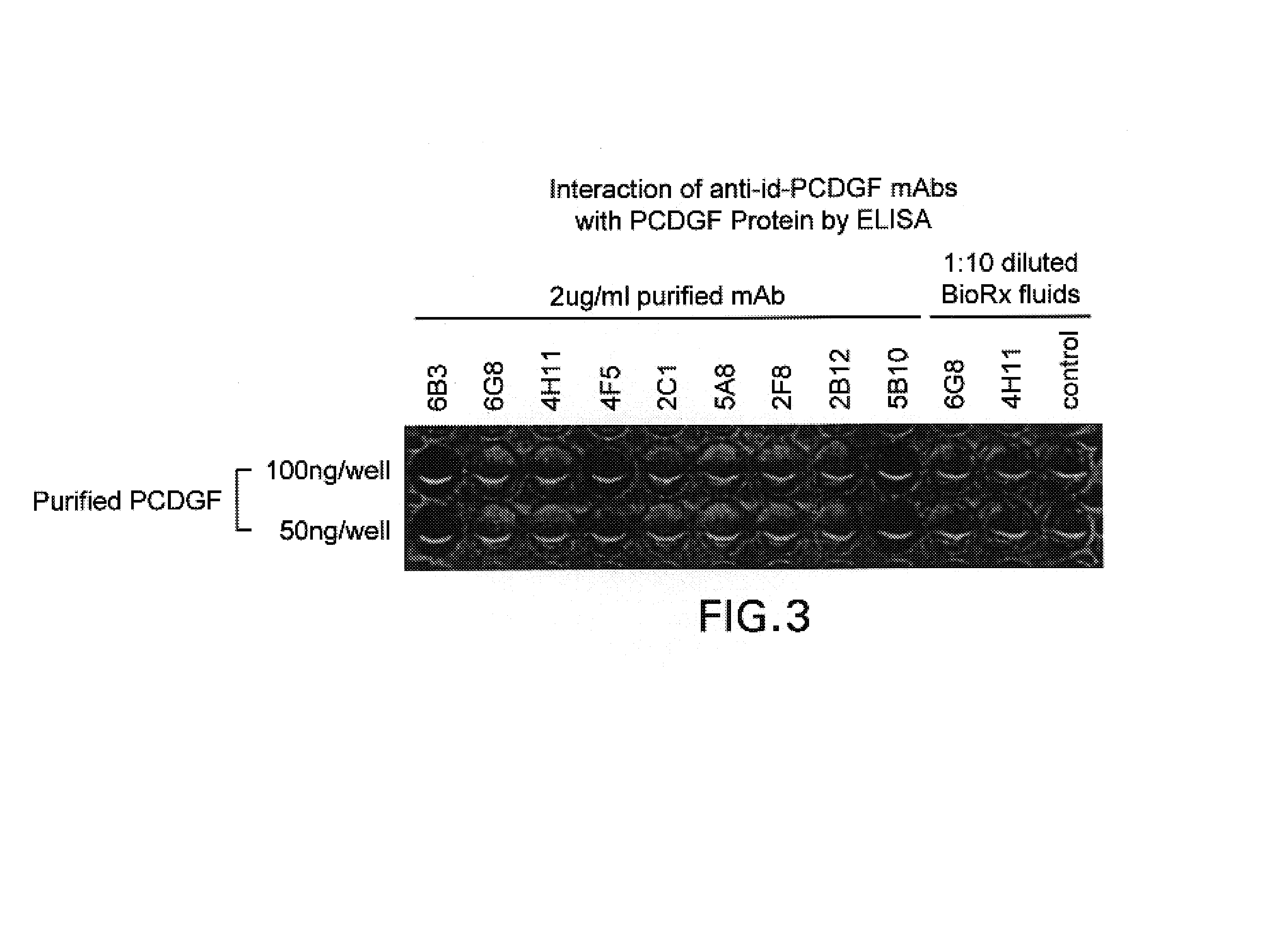 Autocrine growth factor receptor antibodies and methods