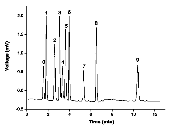 Multi-action mode hydrophilic organic polymer monolithic column