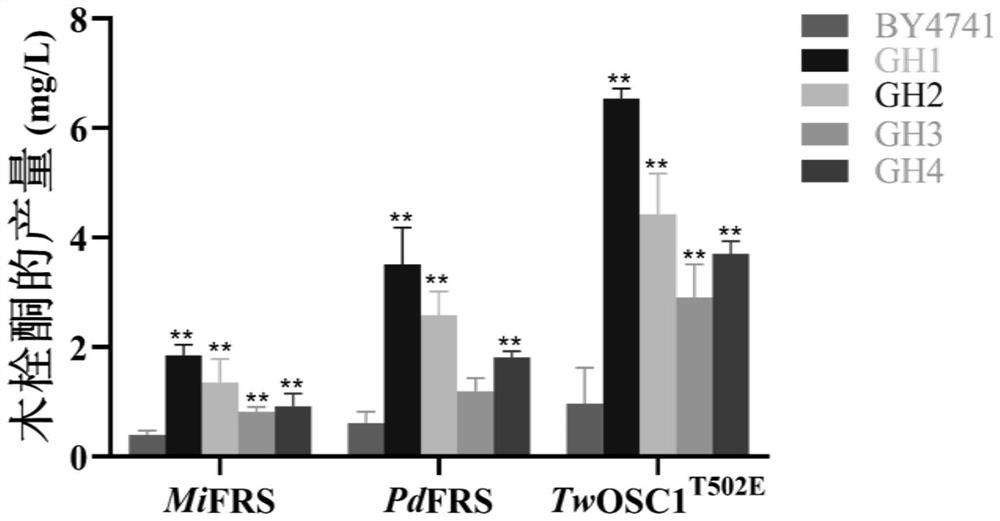 Recombinant yeast engineering bacterium with high yield of friedelin