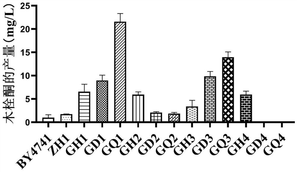 Recombinant yeast engineering bacterium with high yield of friedelin