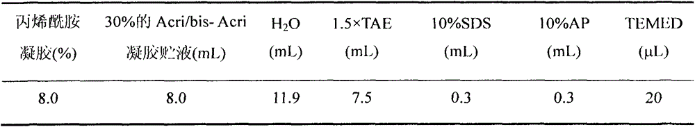 An ssr marker linked to the lrpw-related qtl of rice stem tip nematode resistance on chromosome 5 and its application