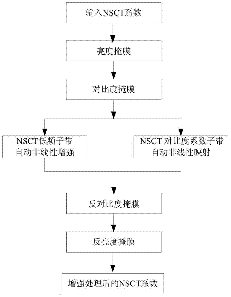 System and method for automatically enhancing underwater images in NSCT (non-subsampled contourlet transform) regions on basis of human visual characteristics