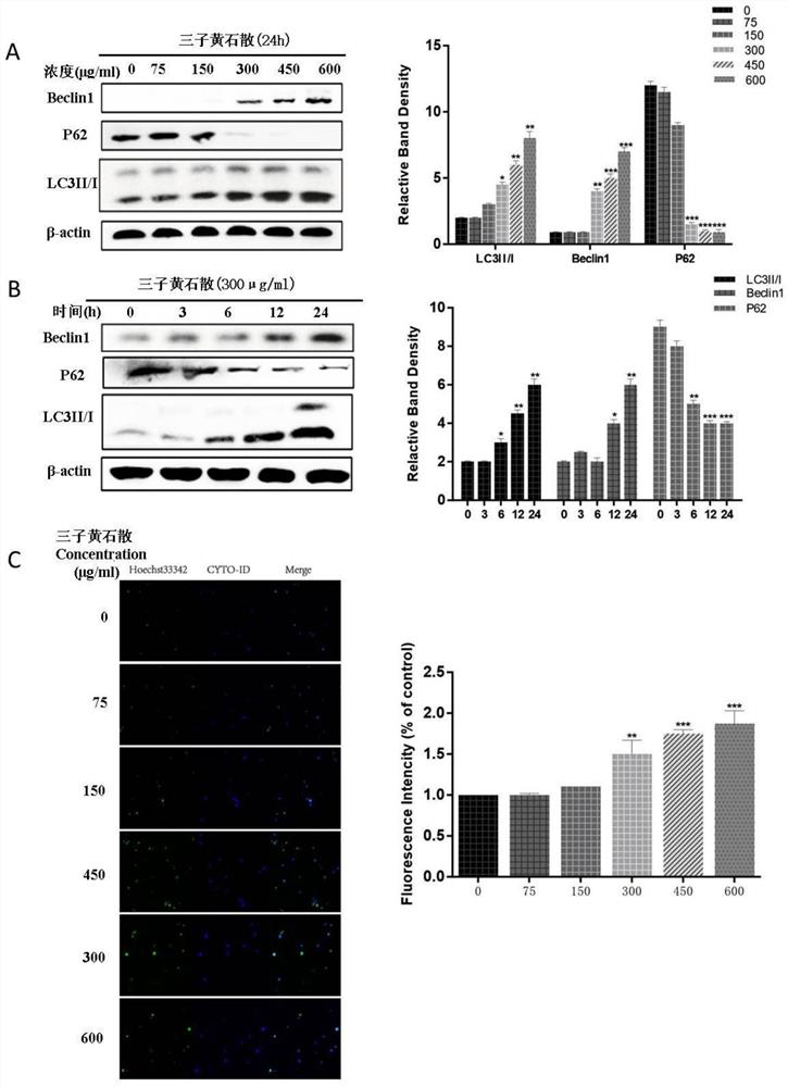 Traditional Chinese medicine composition for treating myelodysplastic syndrome as well as preparation method and application of traditional Chinese medicine composition