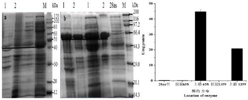 Recombinant gene of glutamate dehydrogenase and its acquisition method and application