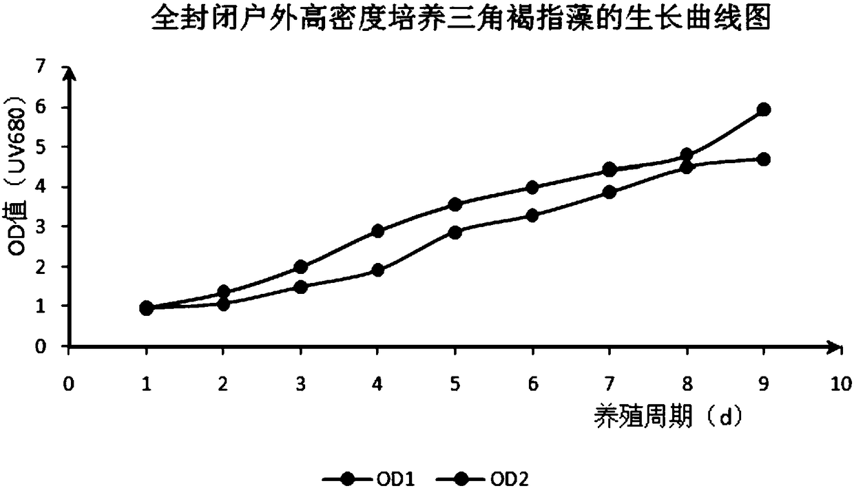 Outdoor totally closed high-density phaeodactylum tricornutum bohlin culture method