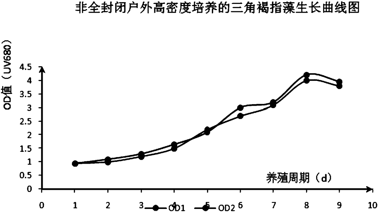 Outdoor totally closed high-density phaeodactylum tricornutum bohlin culture method