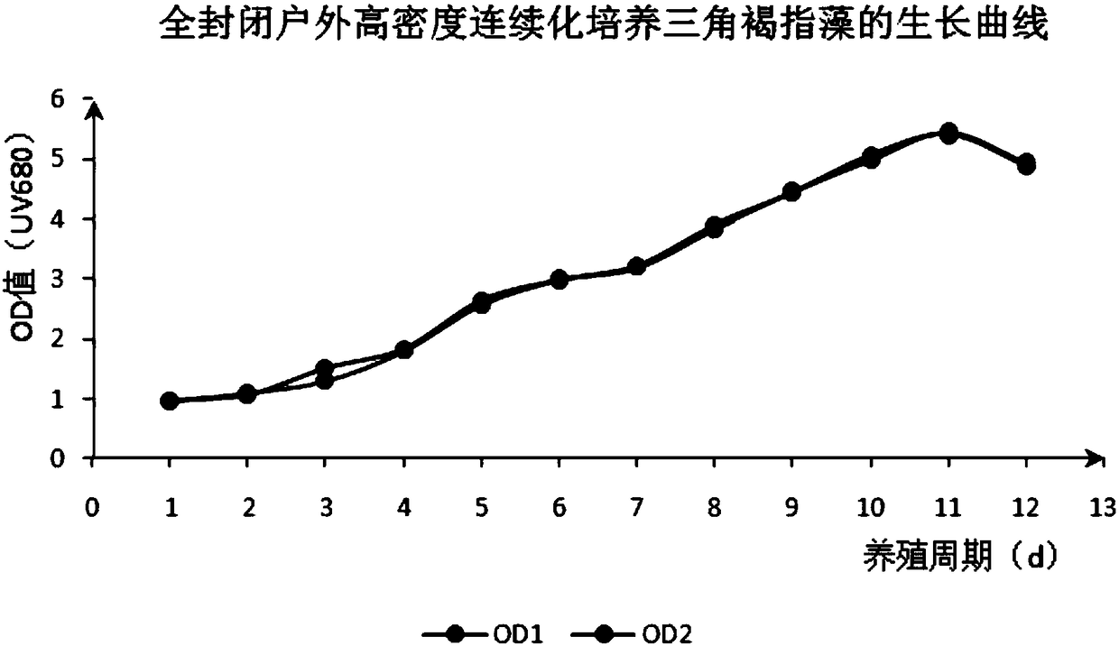 Outdoor totally closed high-density phaeodactylum tricornutum bohlin culture method