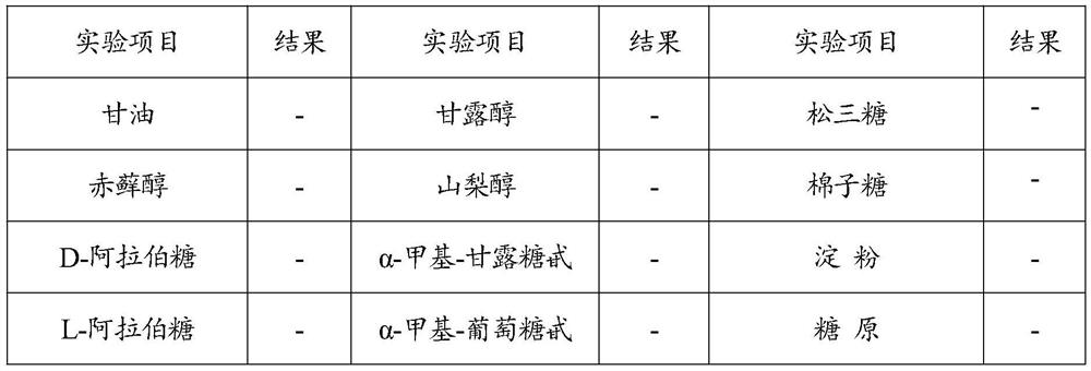 Bifidobacterium bifidum i771 as well as separation and purification method and application thereof