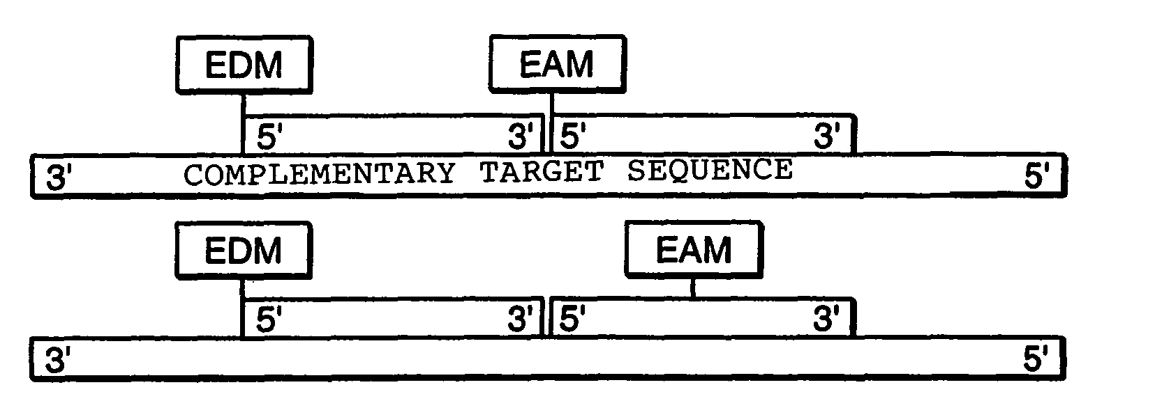 Nucleic acid mediated electron transfer