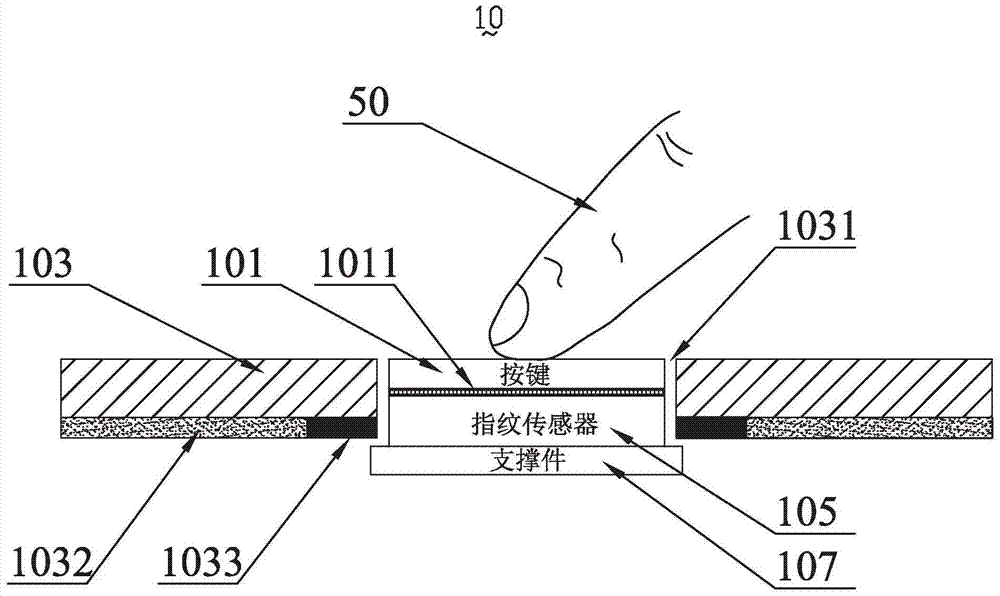 A fingerprint identification apparatus and an electronic apparatus having the fingerprint identification apparatus