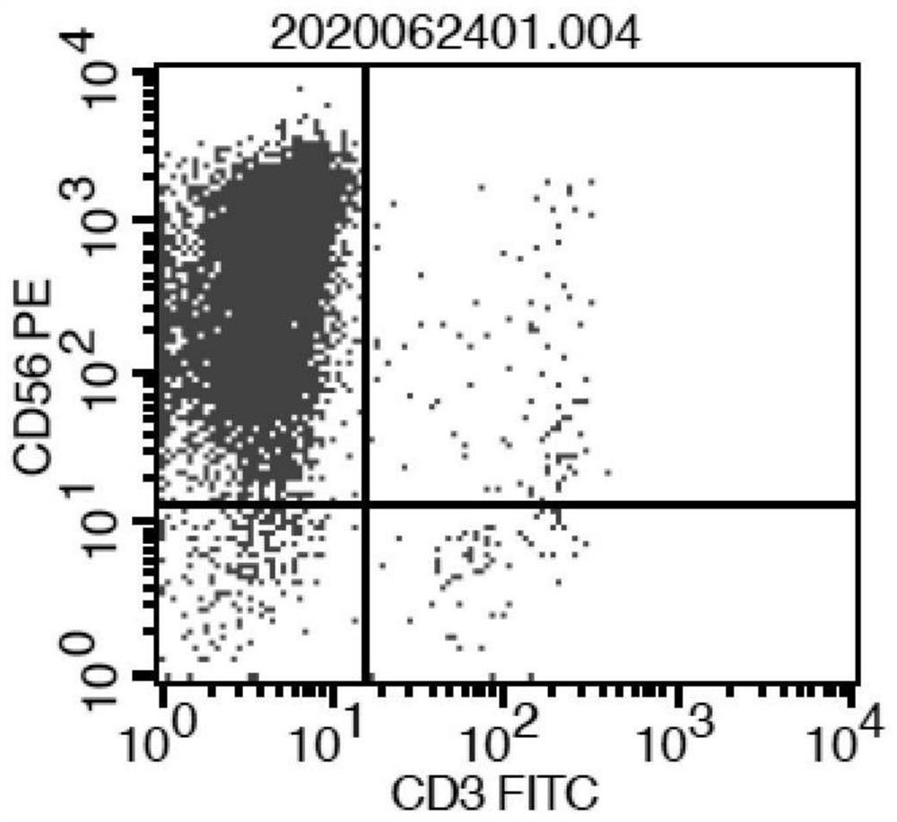 Culture system and culture method of NK cells