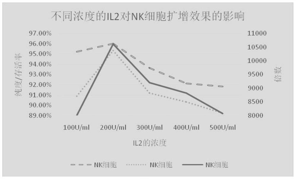 Culture system and culture method of NK cells