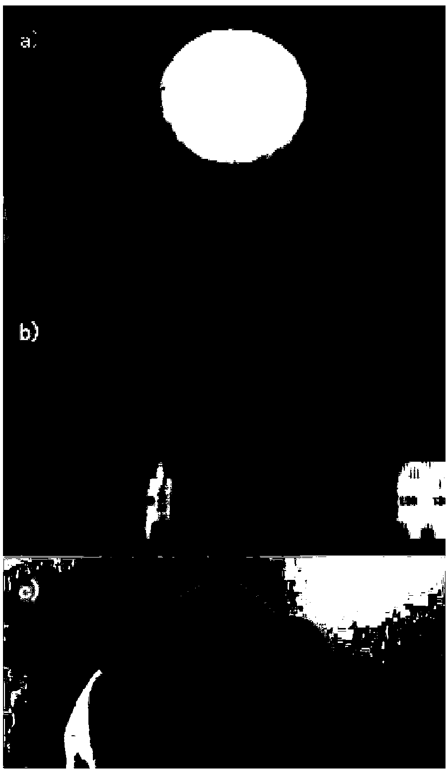 Novel flexible conductive composite film and preparation method thereof