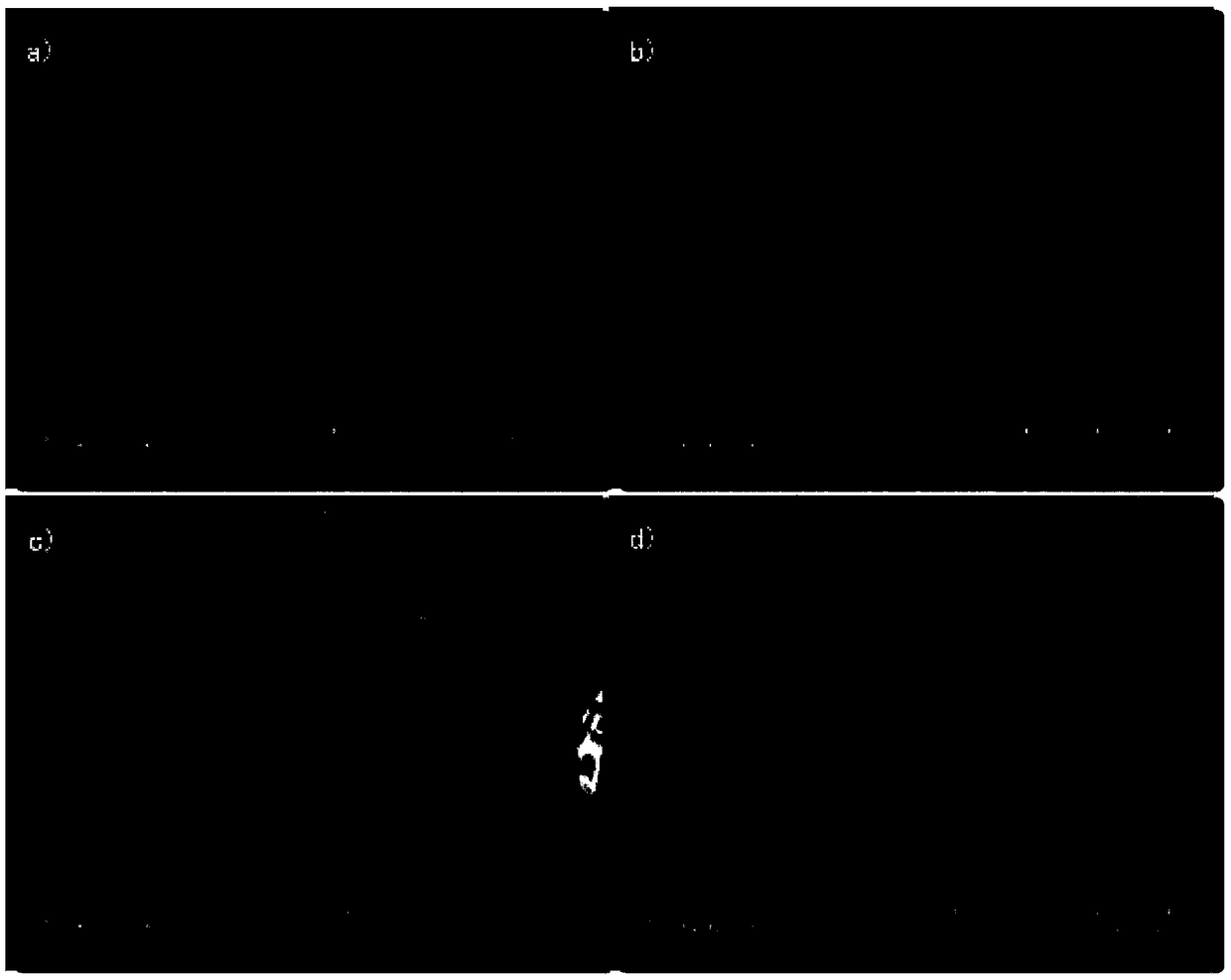 Novel flexible conductive composite film and preparation method thereof