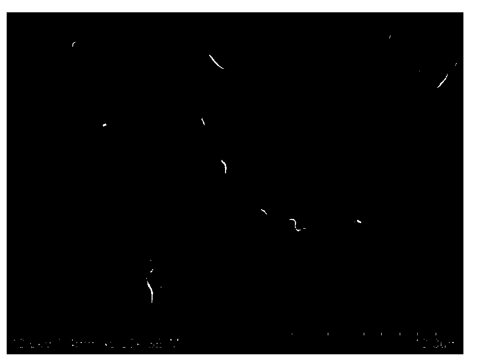 Reinforced and toughened anti-bacterial polypropylene composition and preparation method thereof