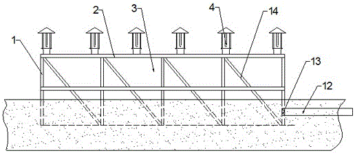 Efficient frog breeding method