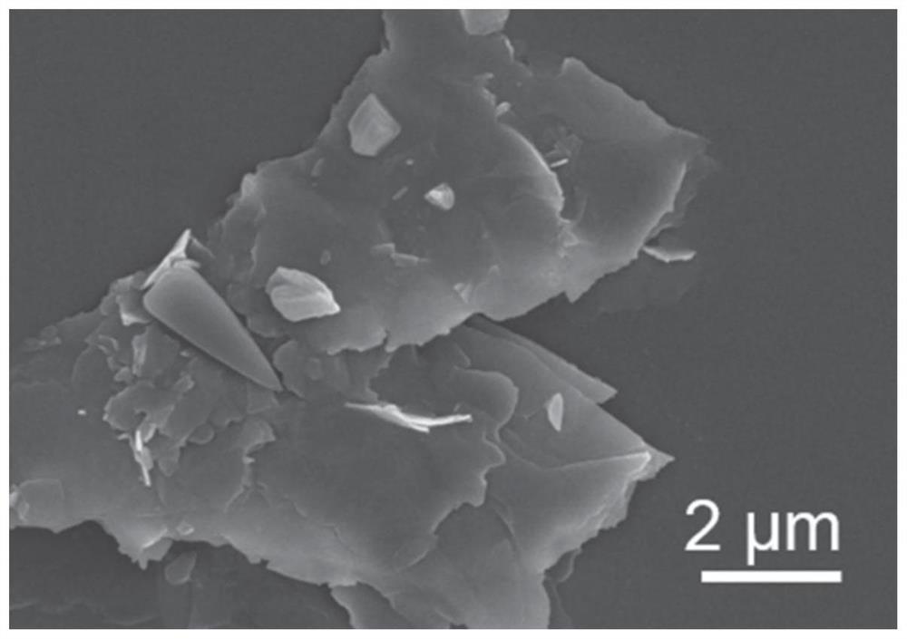 Water-based anticorrosive coating applied to deep sea environment as well as preparation method and application of water-based anticorrosive coating