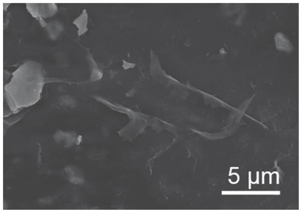 Water-based anticorrosive coating applied to deep sea environment as well as preparation method and application of water-based anticorrosive coating