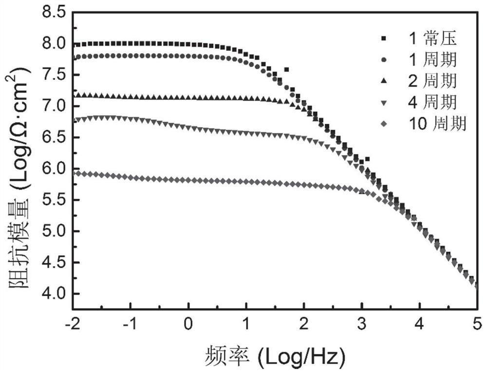 Water-based anticorrosive coating applied to deep sea environment as well as preparation method and application of water-based anticorrosive coating