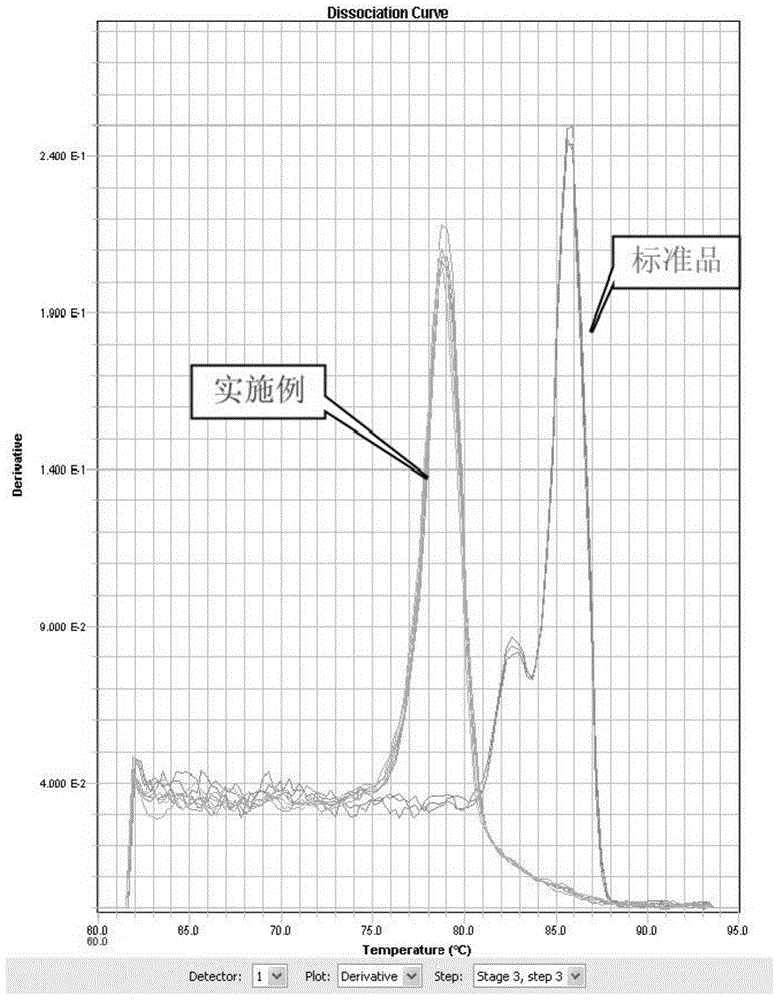 Construction method of plasma cell-free dna library