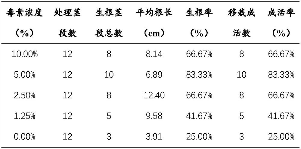 Toxin type plant rooting solution, rooting method and application