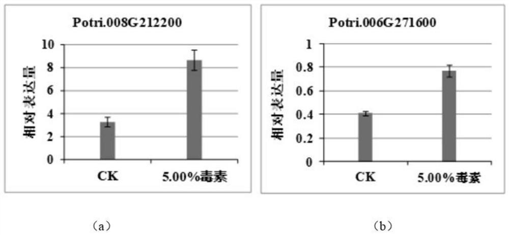 Toxin type plant rooting solution, rooting method and application