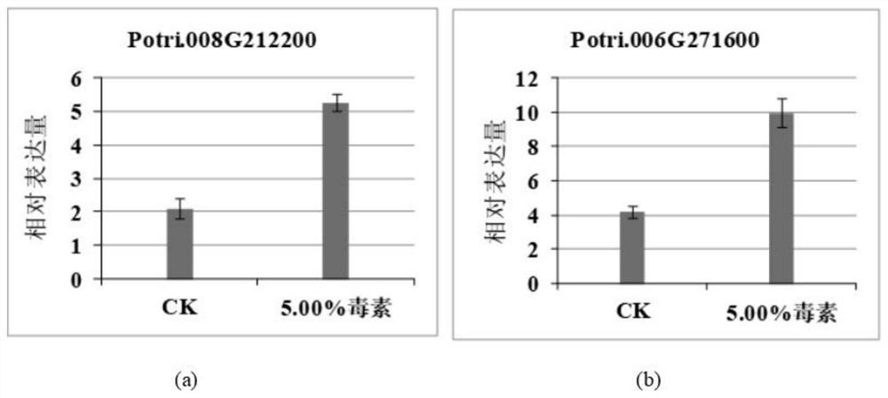 Toxin type plant rooting solution, rooting method and application