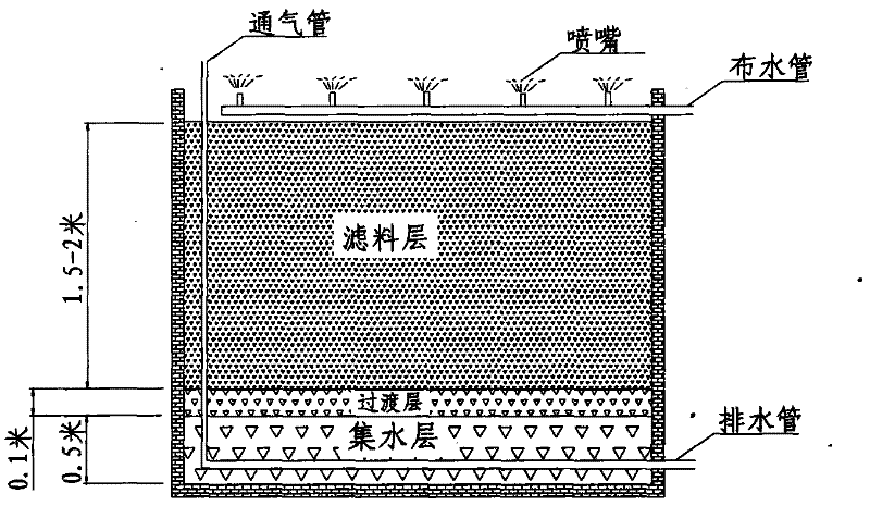 Intermittent water supply biological filter