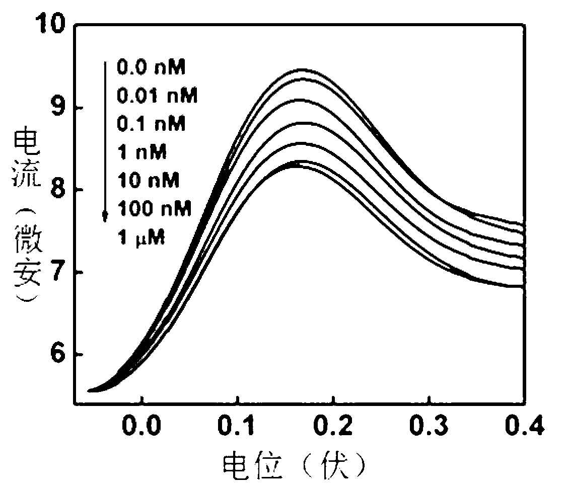 Electrochemical sensor for mercury ion detection, and manufacturing method and detection method thereof