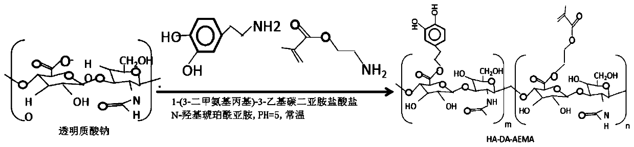 Preparation method of anti-intestinal-adhesion double-layer biogel and double-layer biogel