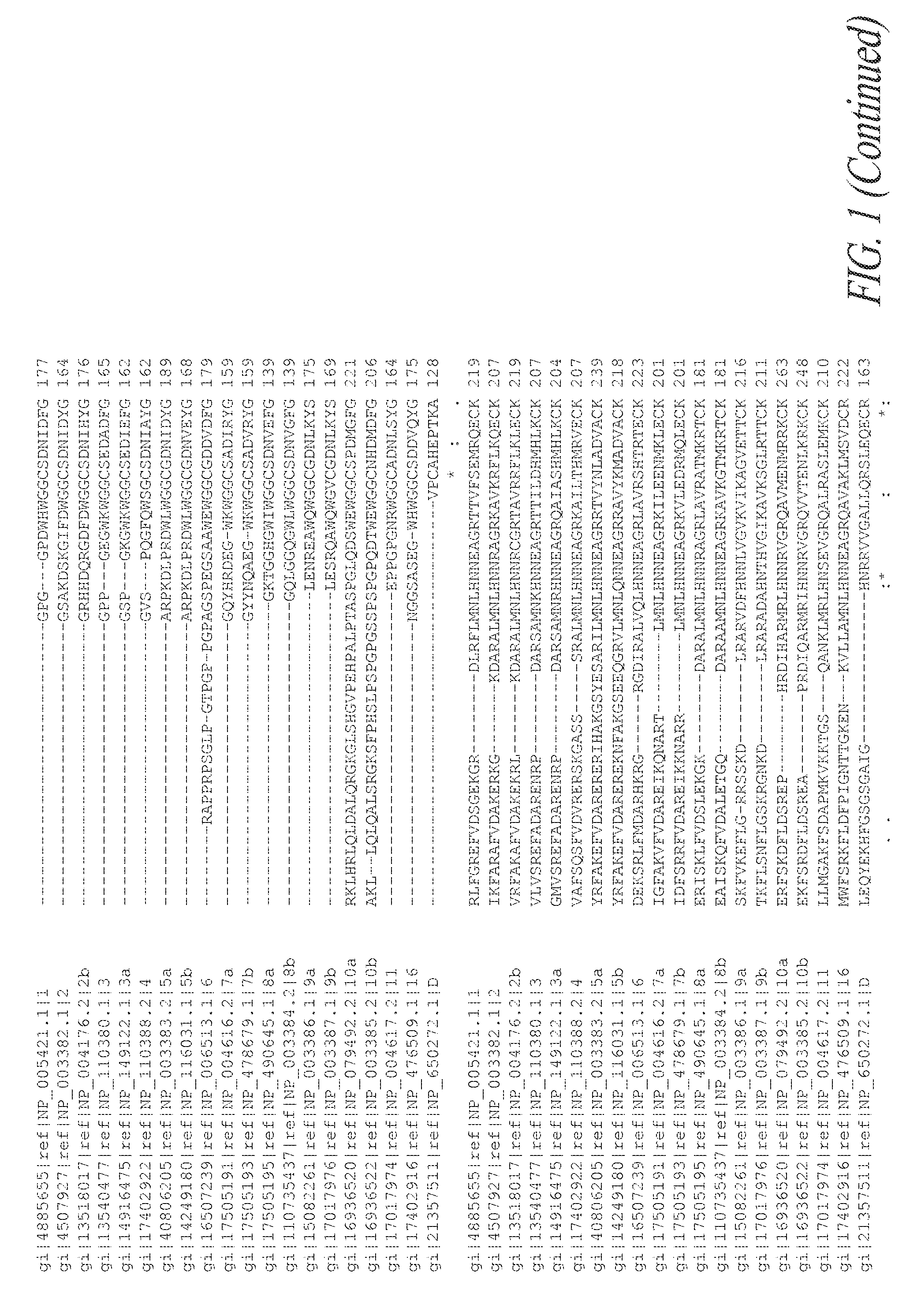 Wnt compositions and therapeutic uses of such compositions