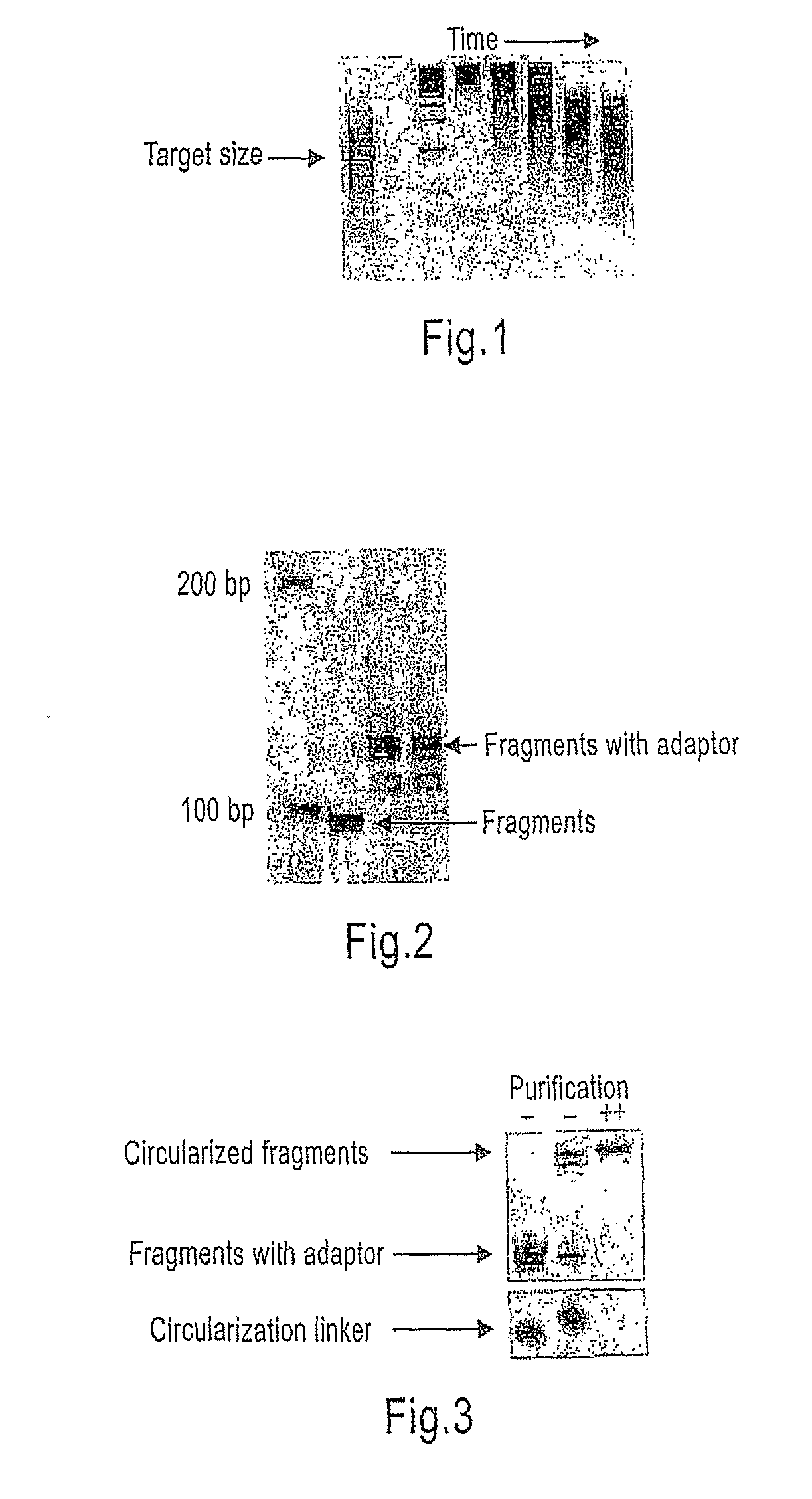 Methods and means for nucleic acid sequencing